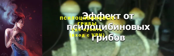 стафф Няндома