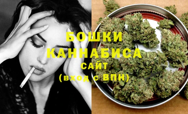 стафф Няндома