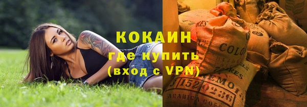стафф Няндома